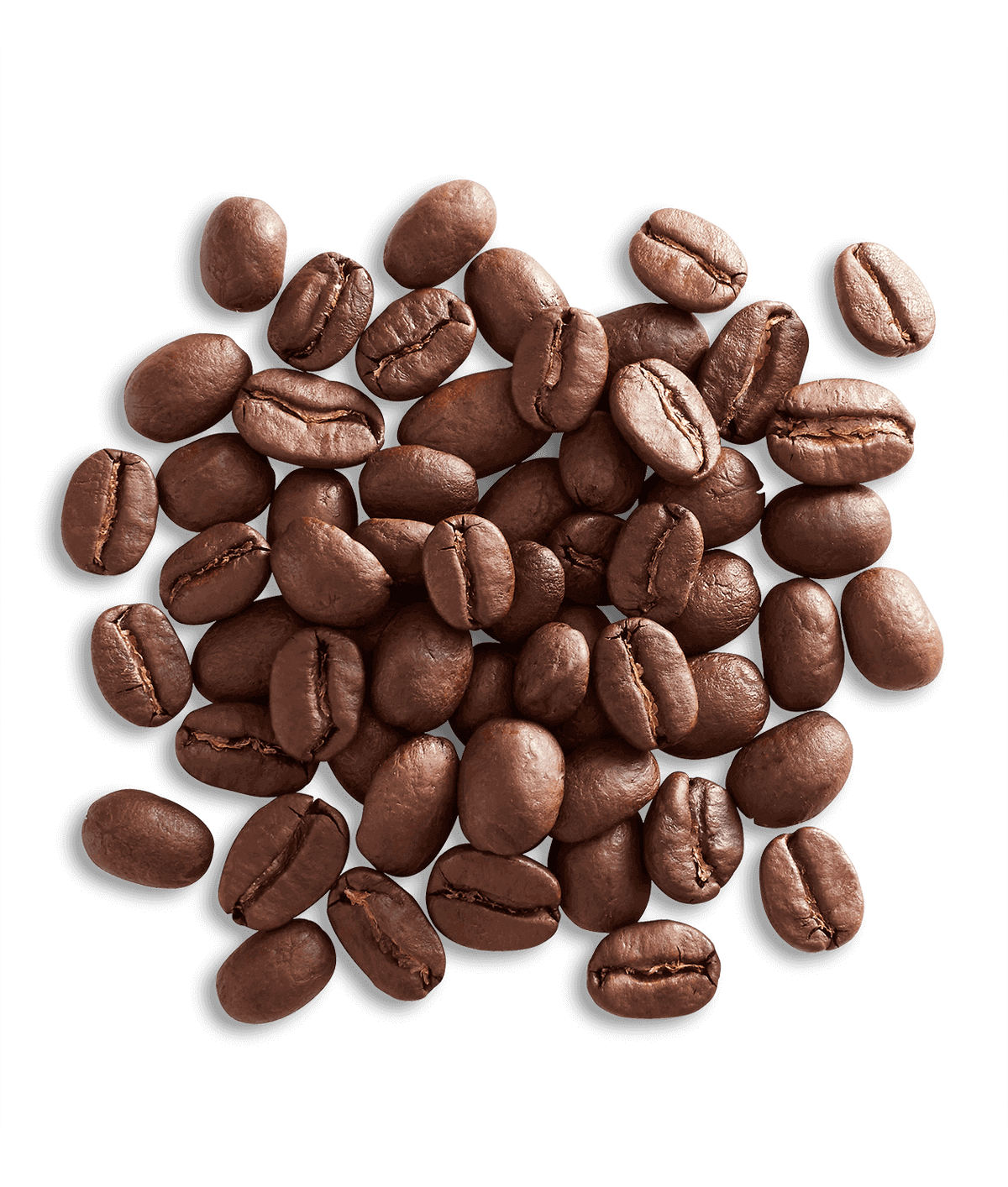 Peet's Organic Alameda Morning Blend Coffee beans shown up close with detail