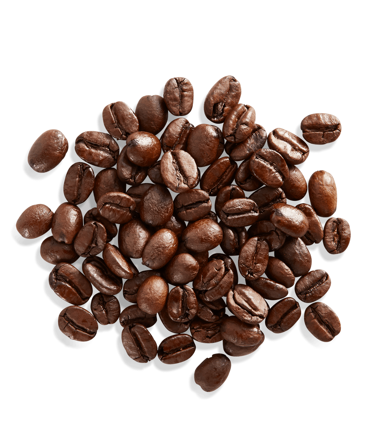 Peet's Arabian Mocha Sanani Coffee beans shown up close with detail