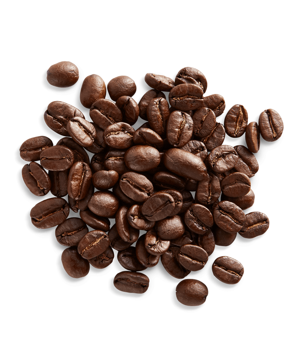 Peet's Guatemala San Sebastián Coffee beans shown up close with detail