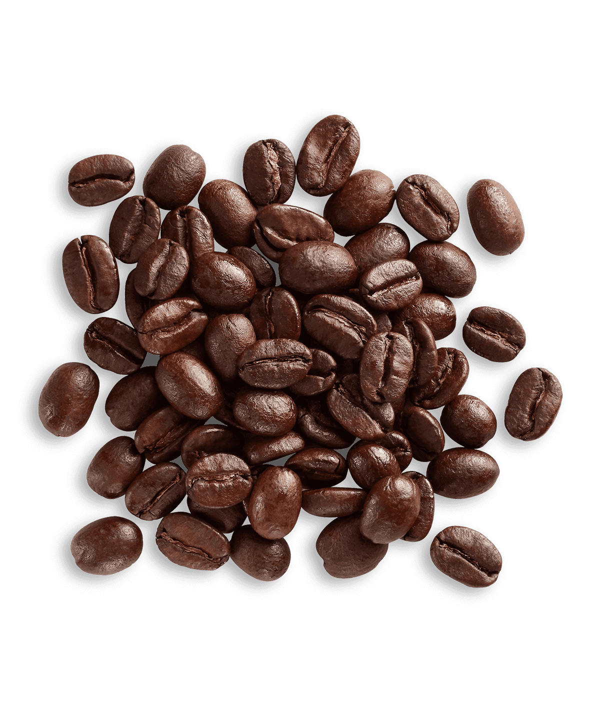 Peet's Anniversary Blend 2022 Coffee beans shown up close with detail