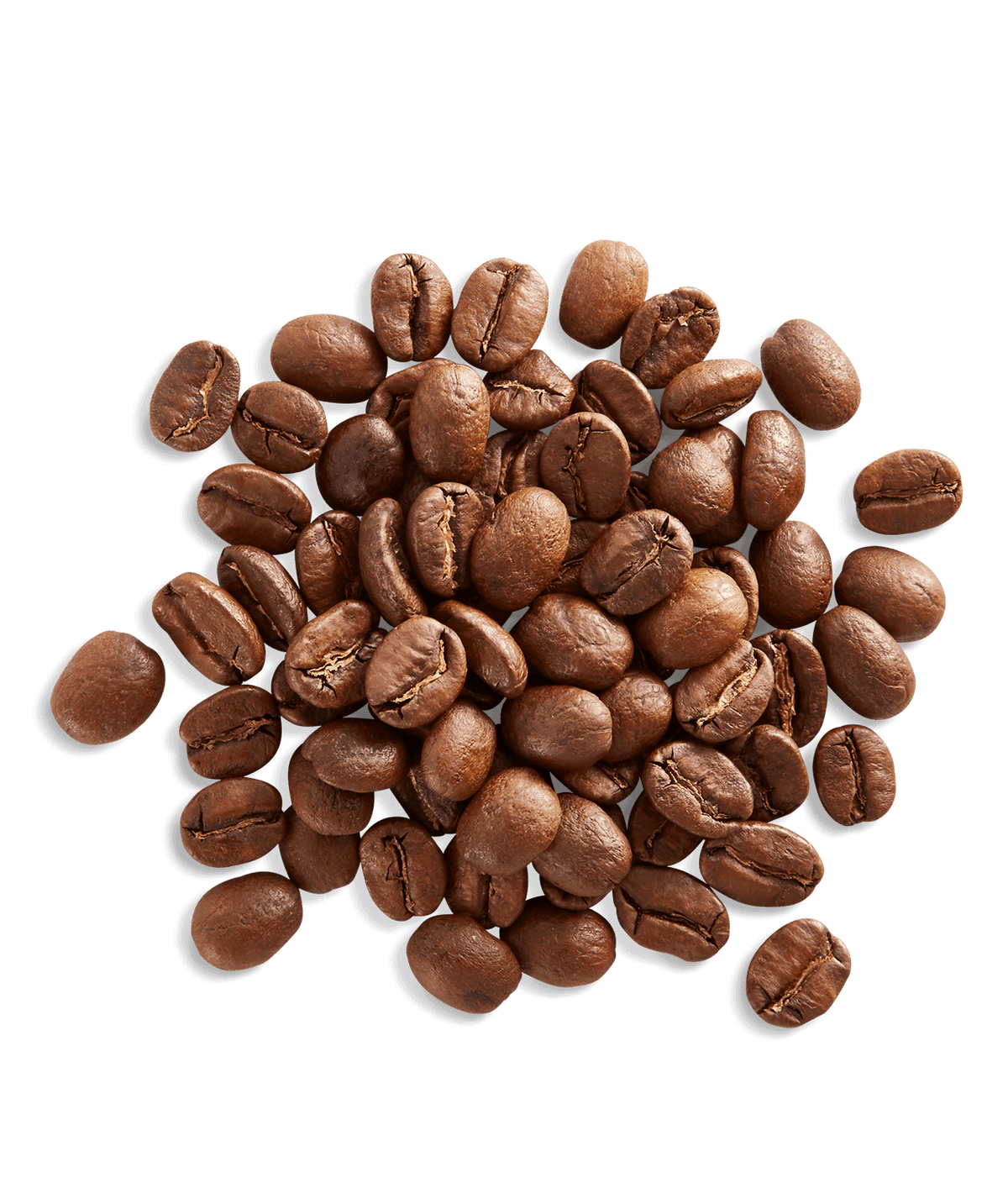 Peet's Costa Rica Aurora Coffee beans shown up close with detail