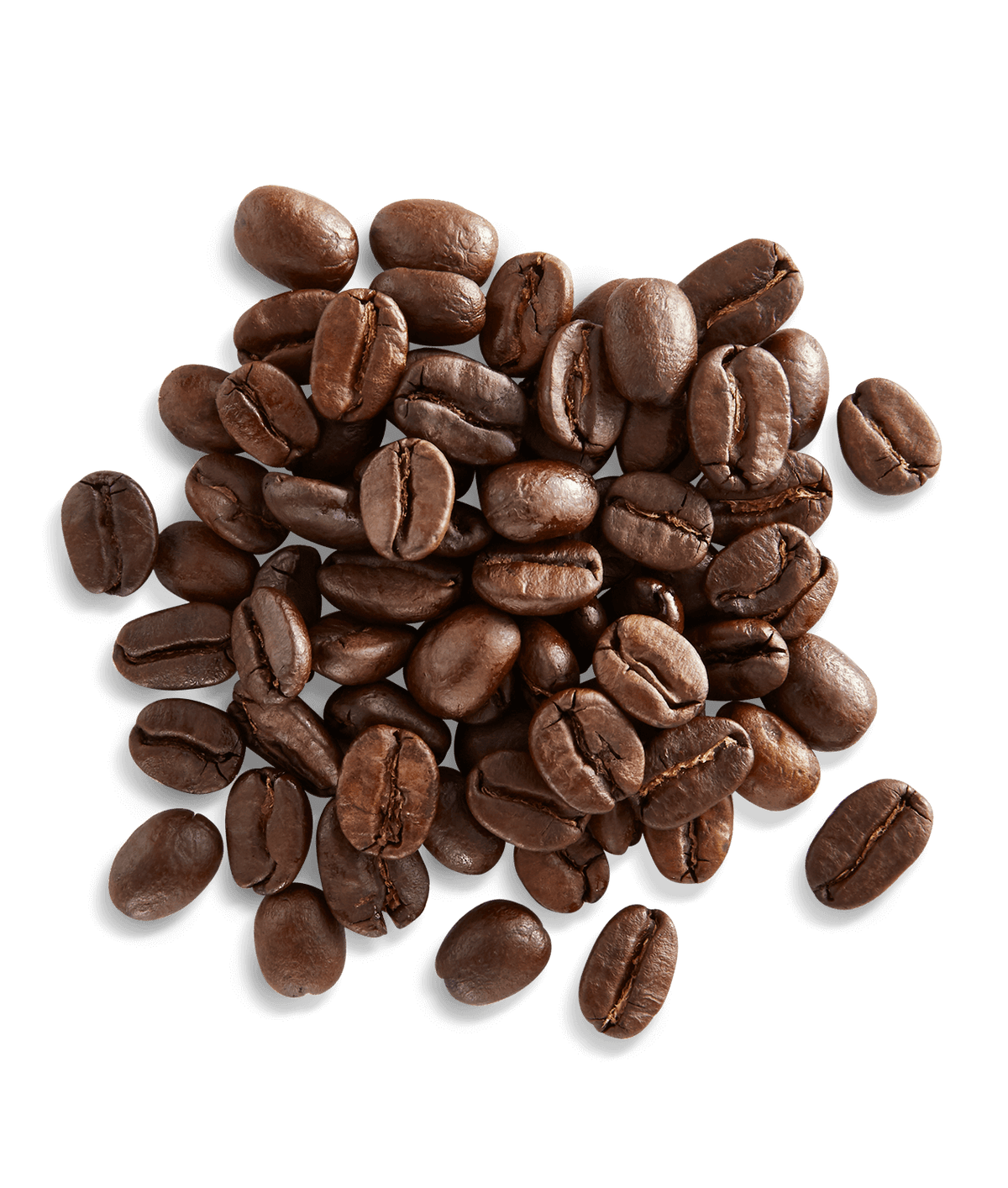 Peet's JR Reserve Blend Coffee beans shown up close with detail