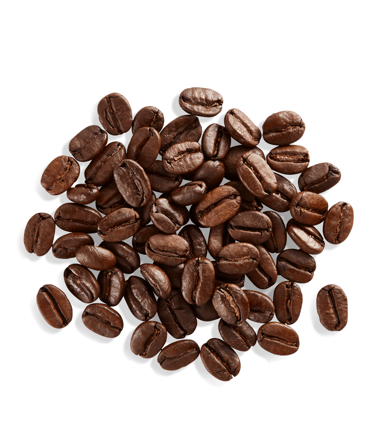 Peet's Arabian Mocha-Java Coffee beans shown up close with detail